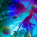 forest of fronds